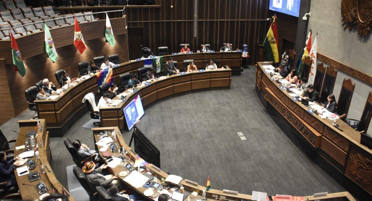 Gobierno asegura que el Senado "sabotea" la aprobación del Presupuesto General del Estado 2023. Foto: ABI