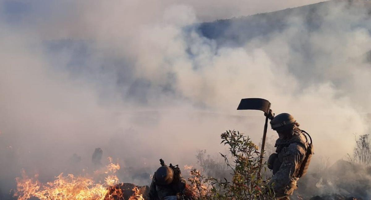 Cabe señalar que los incendios causaron contaminación en las ciudades de La Paz y Santa Cruz. Foto: ABI
