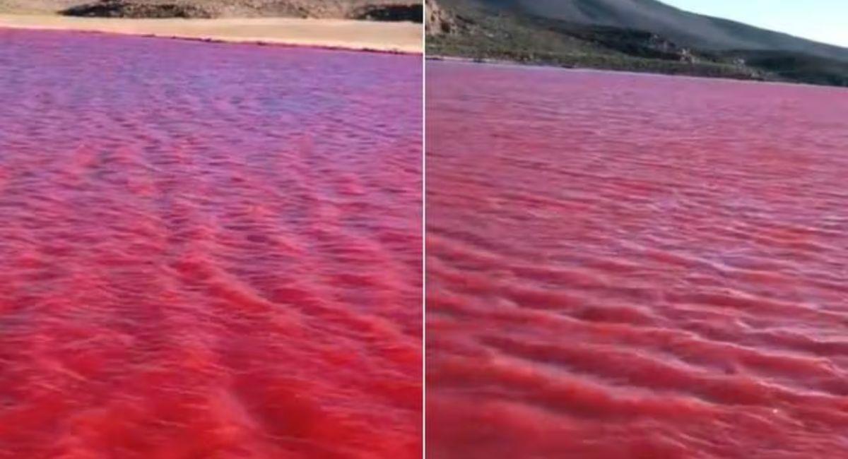 El Río Nilo se tiñó de rojo y el fenómeno inusual se viralizó en redes sociales. Foto: Youtube Captura.