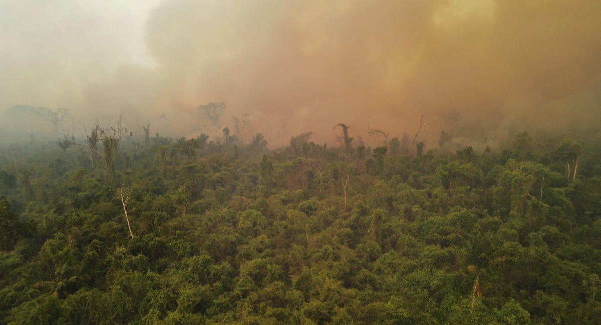 Los incendios han afectado a parques naturales y áreas protegidas. Foto: EFE