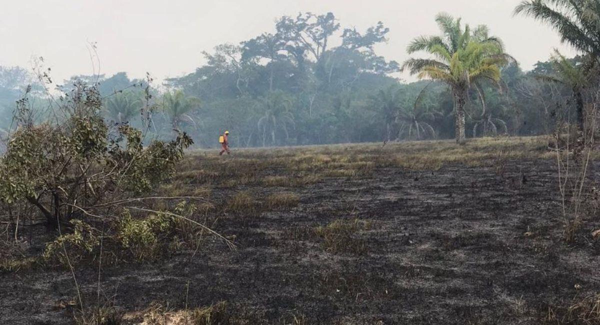 Tanto en 2019 como en 2023, el fuego arrasó con las reservas forestales, propiedades privadas y otros. Foto: Facebook Ministerio de Defensa