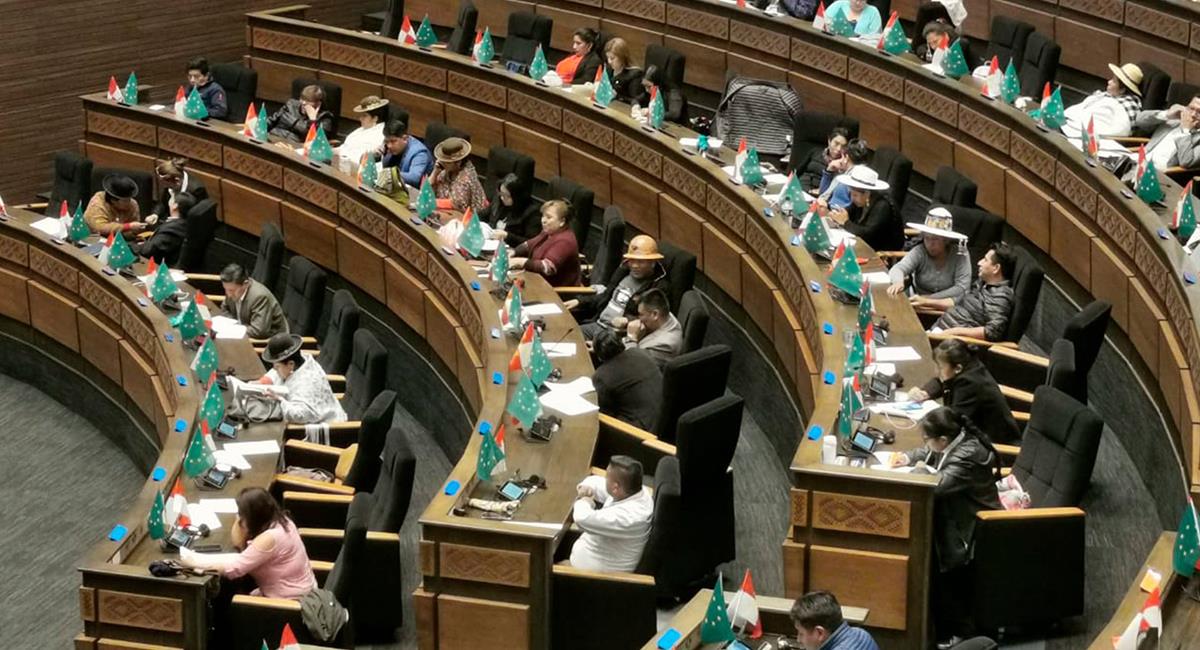 La Cámara de Diputados eligió comités y comisiones. Foto: Twitter Captura @Diputados_Bol