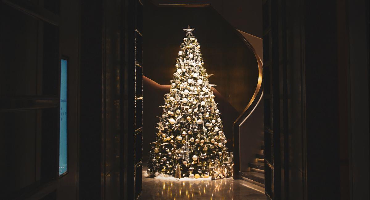 La Navidad tiene muchos elementos simbólicos y quizás uno de los más importantes es el árbol navideño. Foto: Unsplash