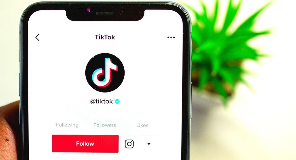 TikTok confirmó que se eliminó la música que pertenece a Universal, lo cual ya se hizo evidente en la red social. Foto: Pixabay