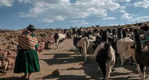 La carne seca empodera a las mujeres bolivianas 
