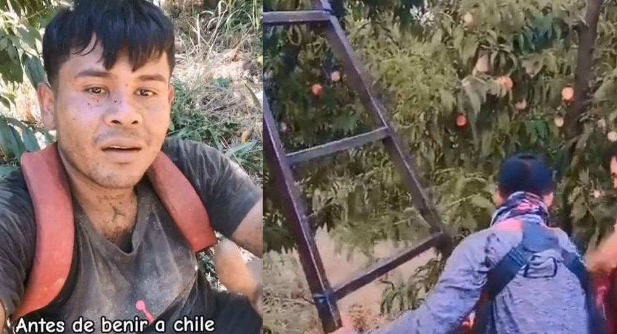 El joven alertó de largas jornadas bajo el sol, en cosechas frutales en Chile. Foto: TikTok Captura vídeo.