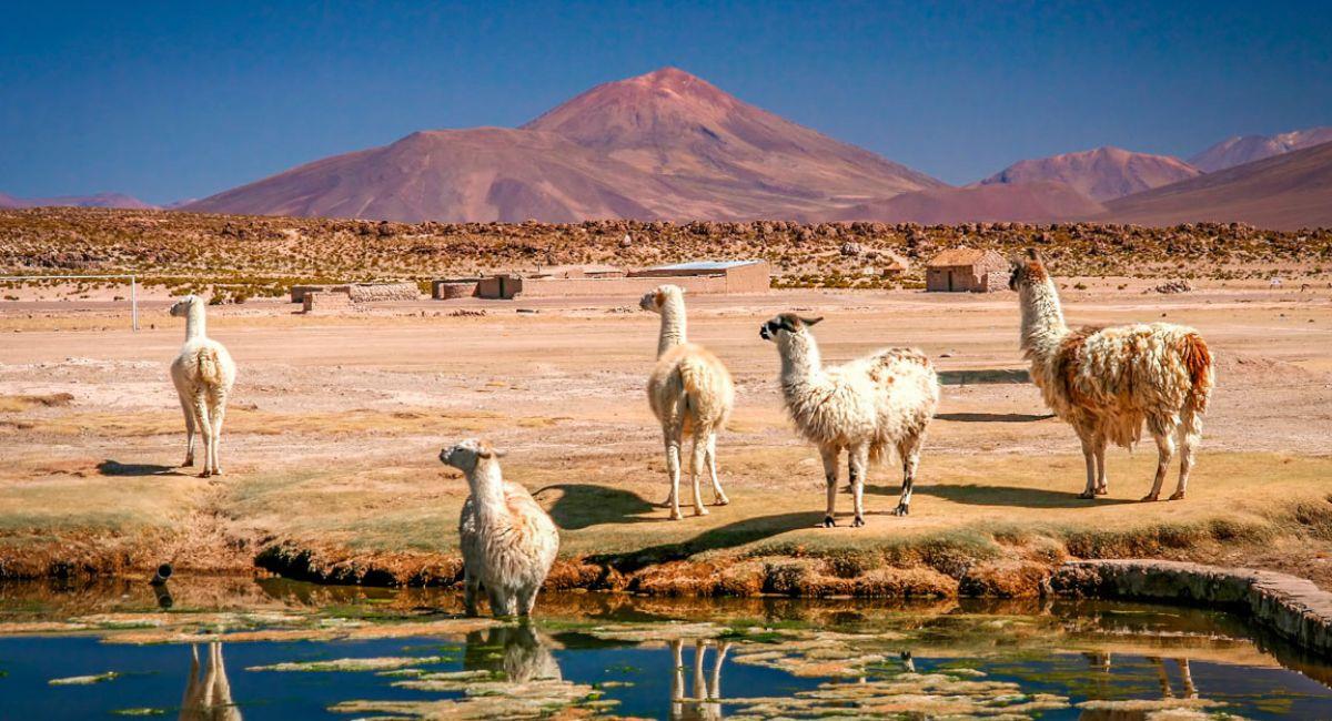 En cuanto a la sequía fueron siete los municipios de Cochabamba que quedaron afectados. Foto: Shutterstock