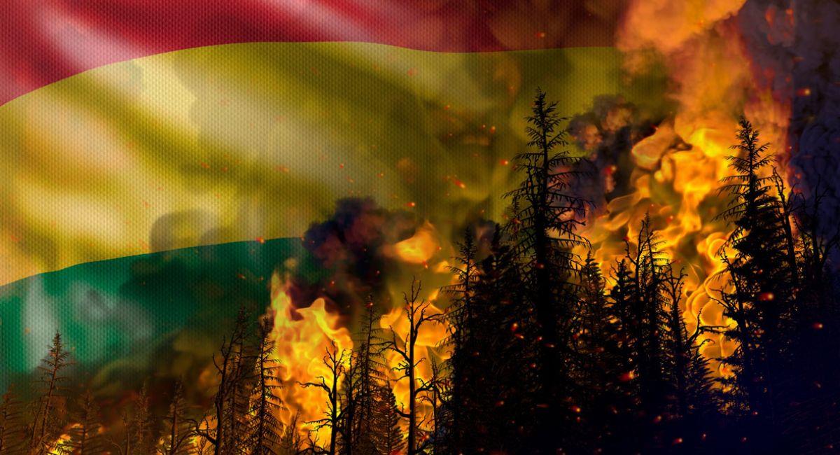 En diciembre de 2023, se conoció que los incendios forestales en Bolivia afectaron a 3.508.033 hectáreas. Foto: Shutterstock