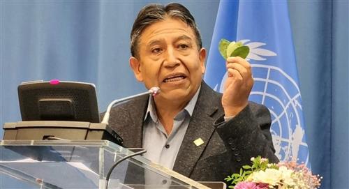 Bolivia: "La hoja de coca no es cocaína"