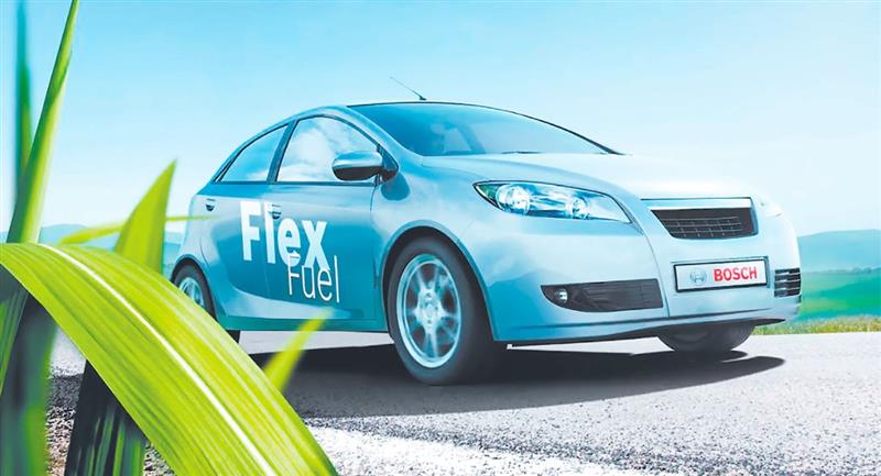 Los vehículos eléctricos y Flex Fuel usarán placas diferenciadas