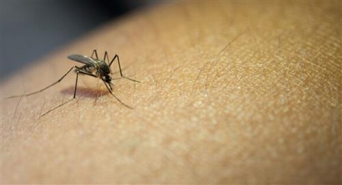 El Alto registró primer caso de dengue hemorrágico 